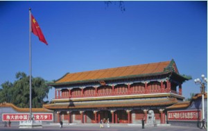 中南?；顒又行? /></a><p><a href=